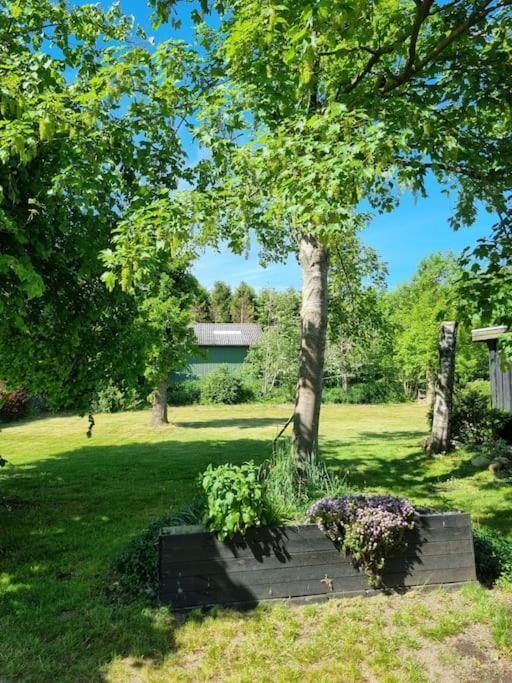 Willkommen In Frifelt Naehe Romo Mit Wunderschoenen Garten Skærbæk Dış mekan fotoğraf